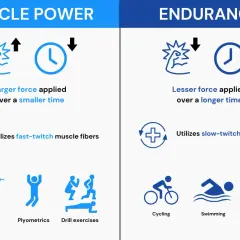 Endurance: lesser force applied over a longer time, utilizing slow-twitch muscle fibers. Examples: cycling, swimming, bodyweight exercises.