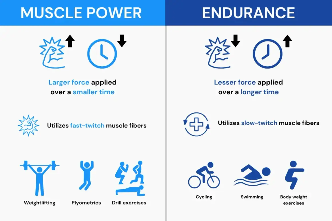 Endurance: lesser force applied over a longer time, utilizing slow-twitch muscle fibers. Examples: cycling, swimming, bodyweight exercises.