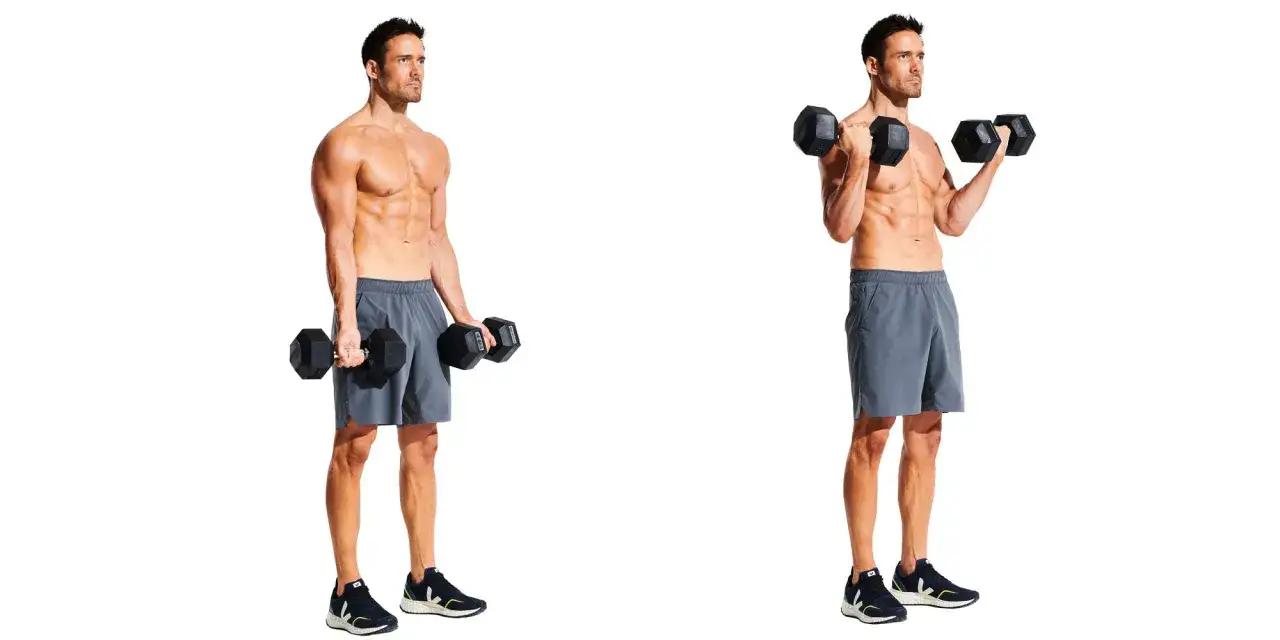 Man performing dumbbell curls, a key arm strength exercise, showing the starting and ending positions.